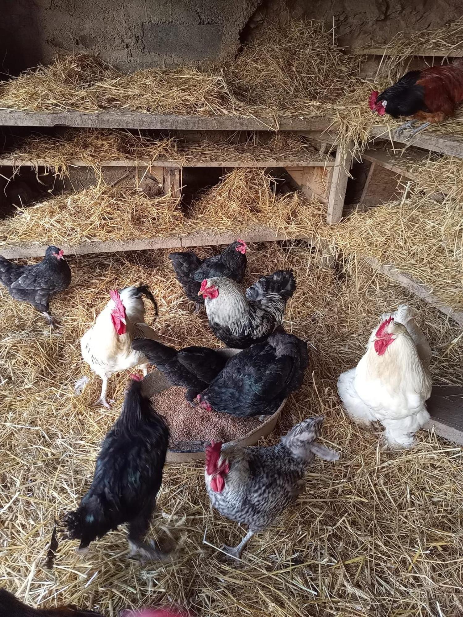 La Ferme Des Cevennes Hotel Florac