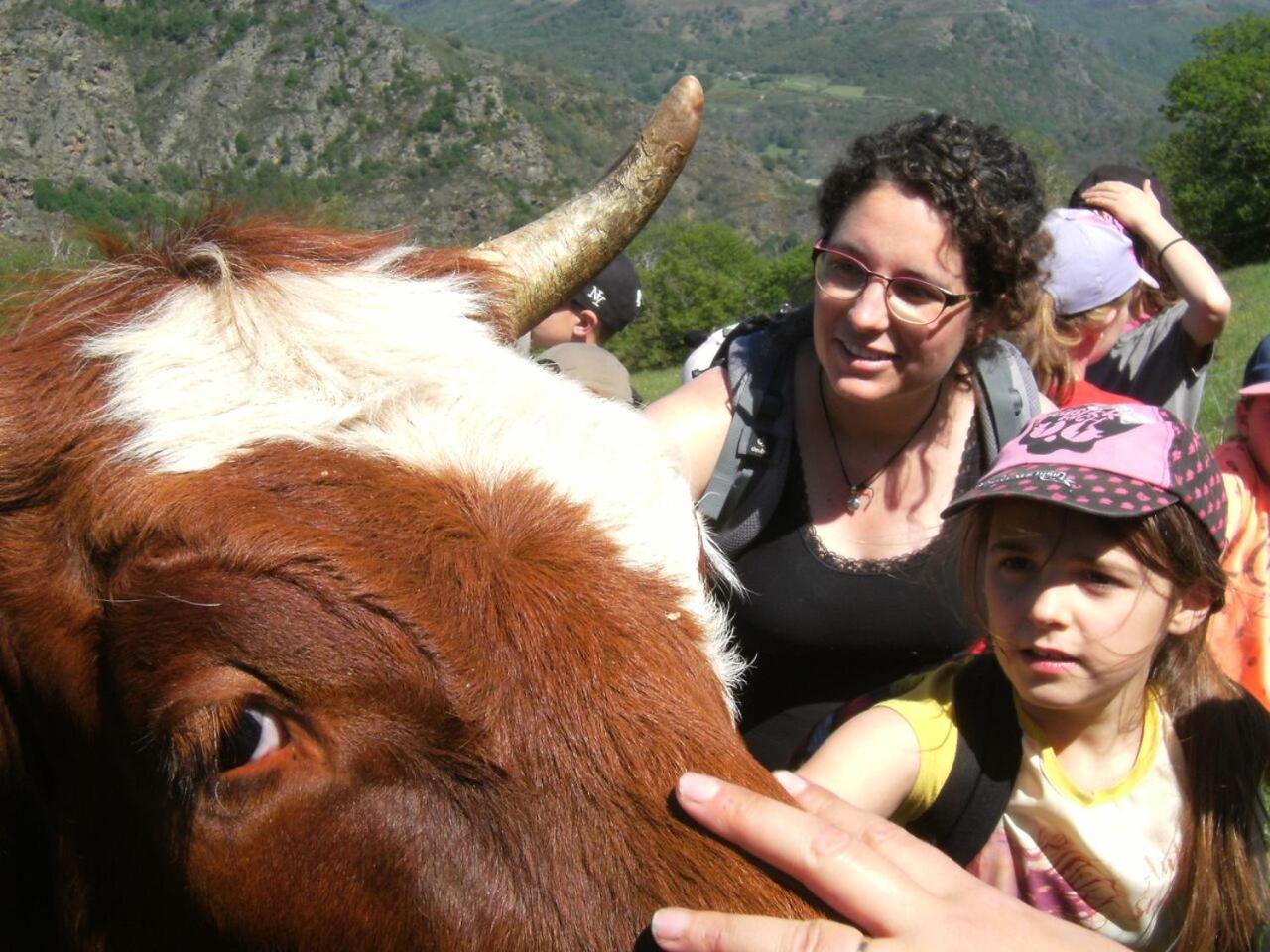 La Ferme Des Cevennes Florac